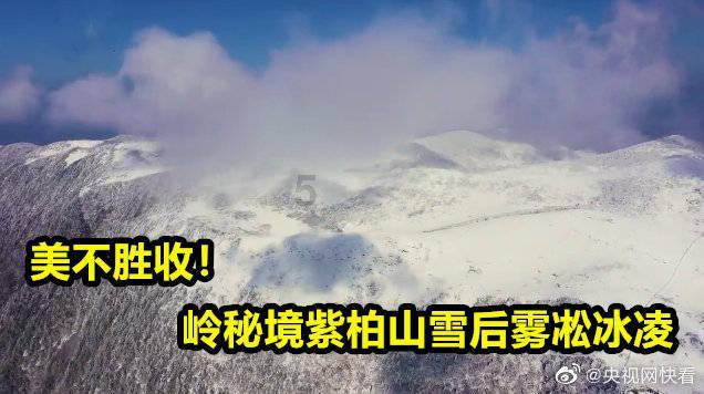 CPA难度飙升!明年考试会更难吗?-专业问答交流平台
